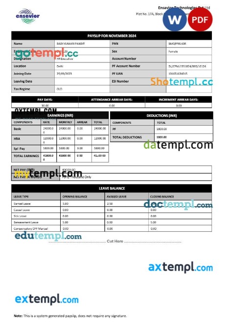 Ensavior Technologies payslip template in Word and PDF formats