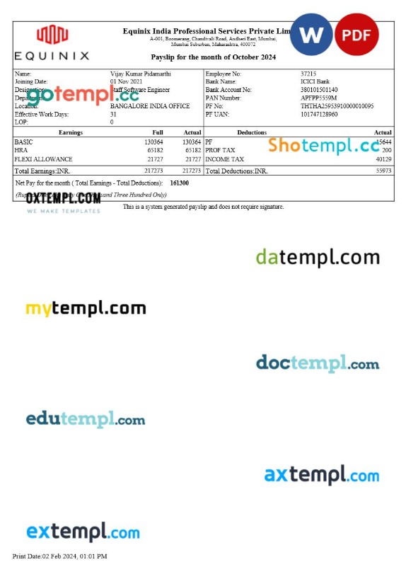 Equinix India Professional Services payslip template in Word and PDF formats