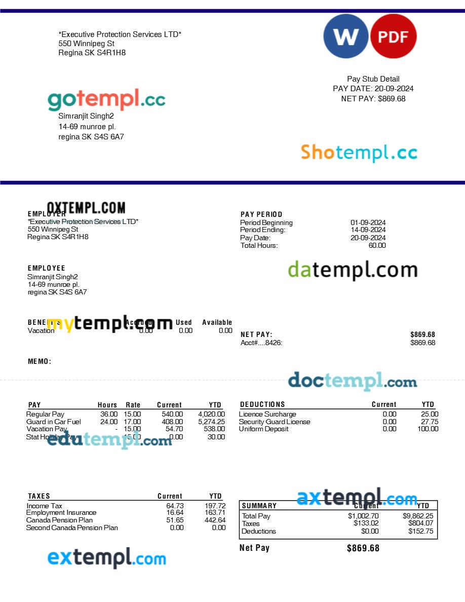 Executive Protection Services LTD pay stub template in Word and PDF formats