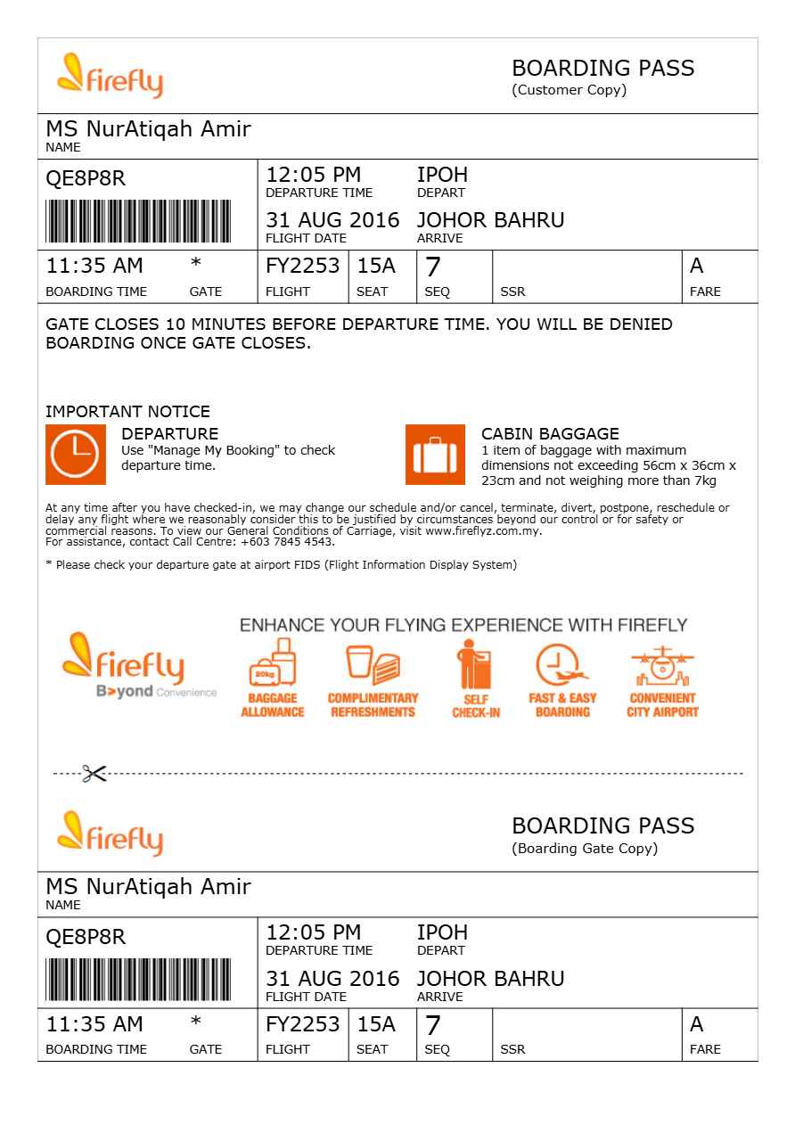 Firefly boarding pass in Word and PDF formats