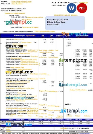 France payslip (in French language) template in Word and PDF formats