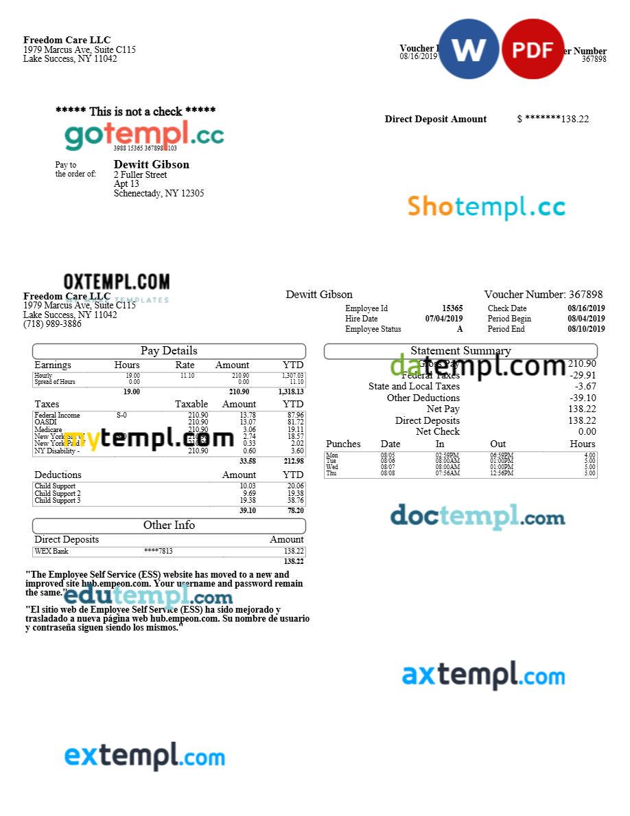 Freedom Care LLC pay stub template in Word and PDF formats