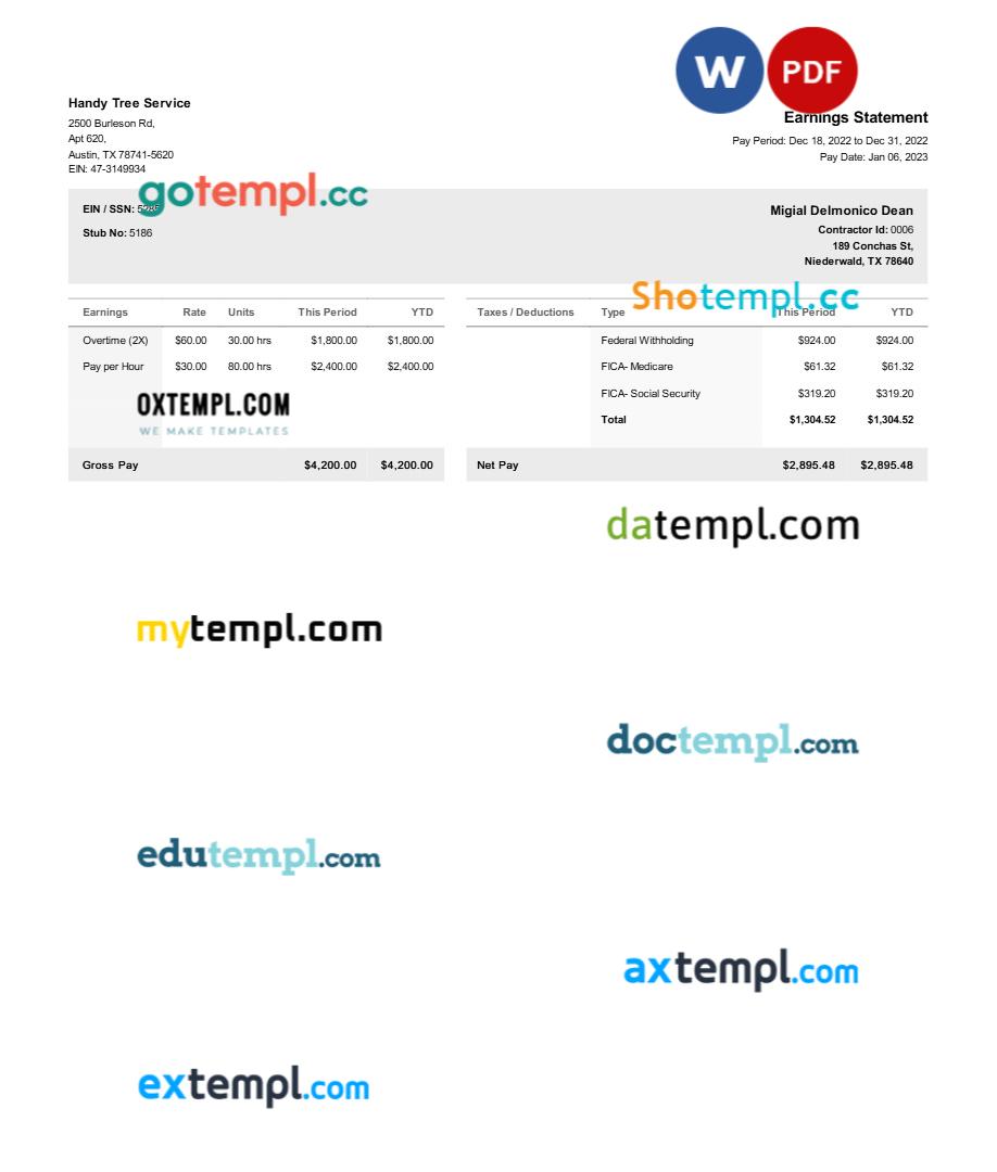 Handy Tree Service earnings statement template in Word and PDF formats