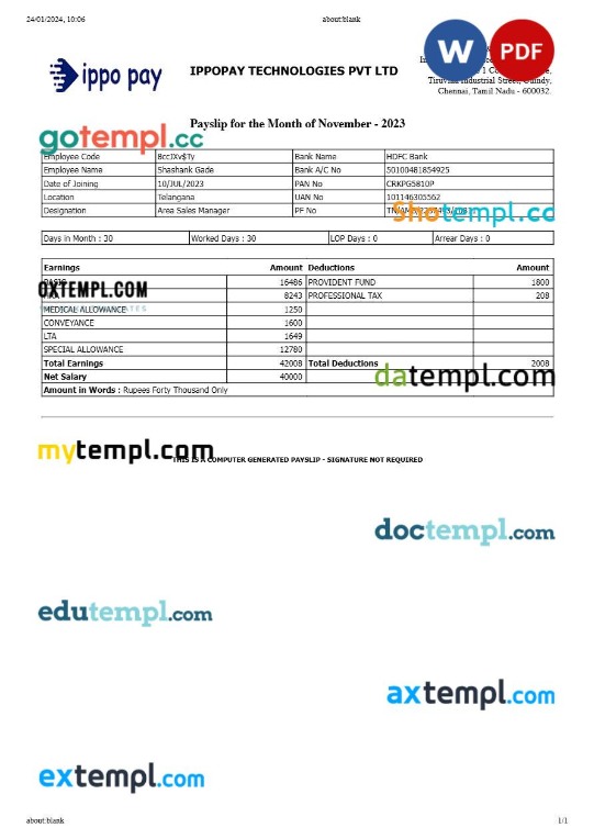 IppoPay Technologies payslip template in Word and PDF formats