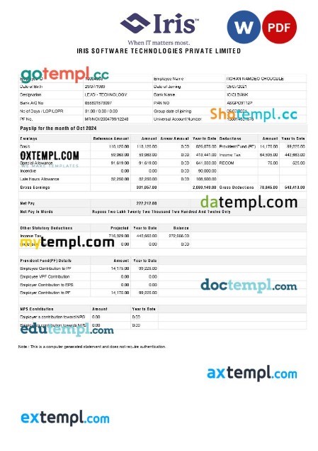 Iris Software Technologies payslip template in Word and PDF formats