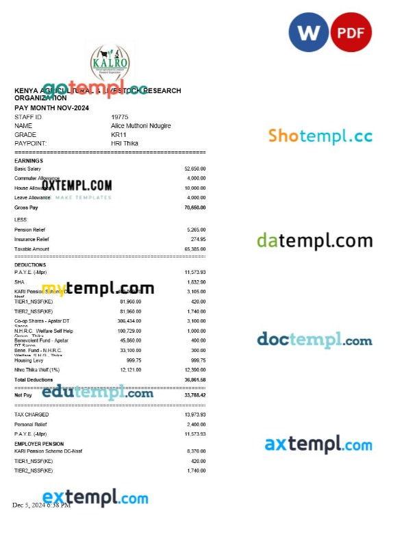 Kenya Agricultural and Livestock Research Organization payslip template in Word and PDF formats