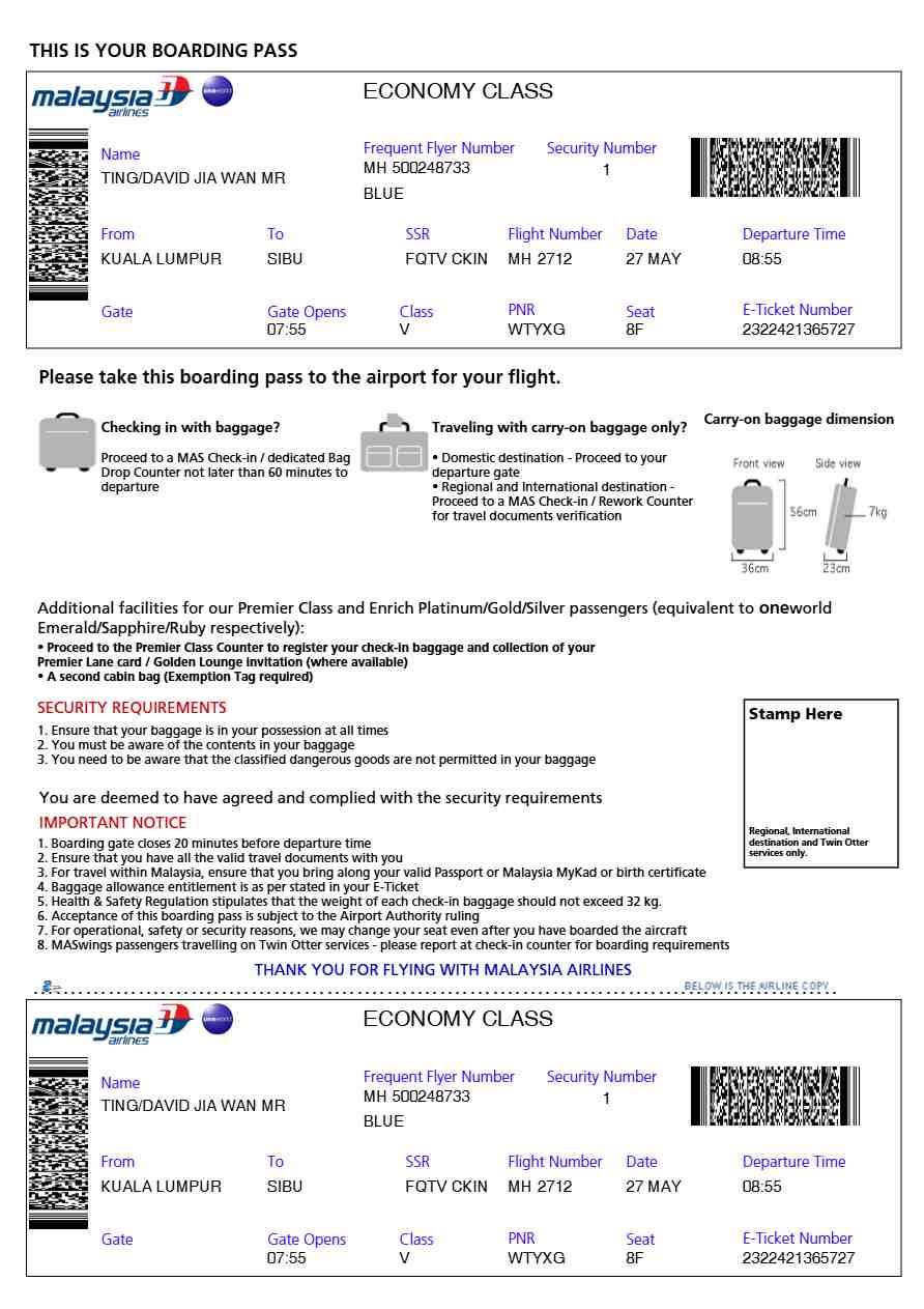 Malaysia Airlines boarding pass in Word and PDF formats