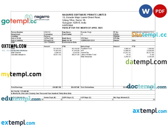 Nagarro Software payslip template in Word and PDF formats