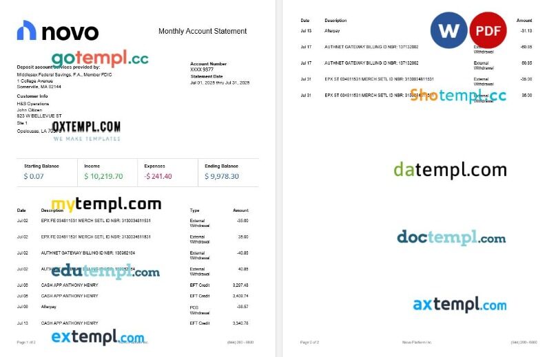 USA Novo Platform INC online business banking statement template, 2 pages