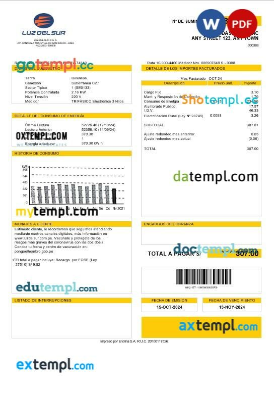 Peru Luz de Sur business utility bill template in Word and PDF formats, fully editable