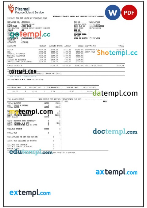 Piramal Financial Services payslip template in Word and PDF formats