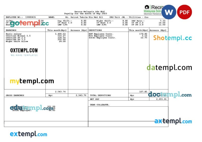 Recron Malaysia payslip template in Word and PDF formats