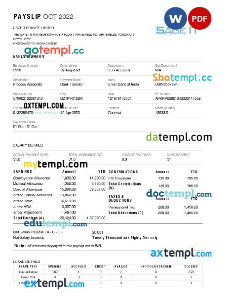 SageIT payslip template in Word and PDF formats