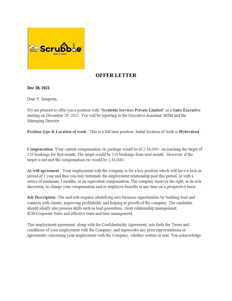 Scrubble Services Pvt. Ltd. Sales Executive offer letter in Word and Pdf formats