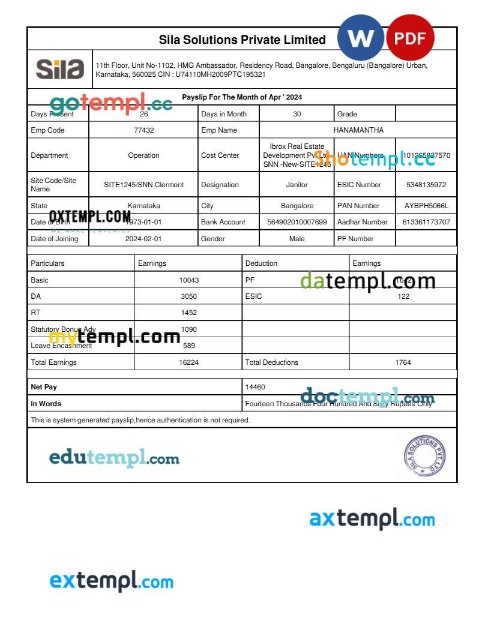 Sila Solutions payslip template in Word and PDF formats