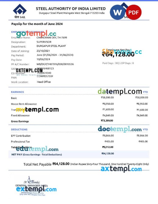 Steel Authority of India payslip template in Word and PDF formats