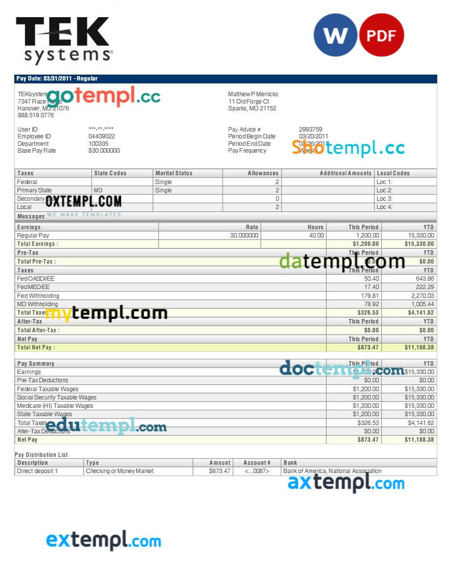 TEKsystems pay stub template in Word and PDF formats