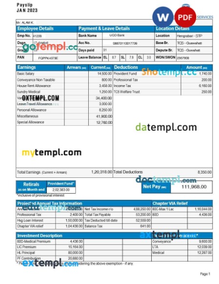 Tata Consultancy Services payslip template in Word and PDF formats