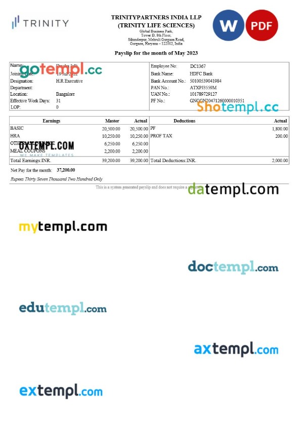 Trinitypartners India real estate payslip template in Word and PDF formats