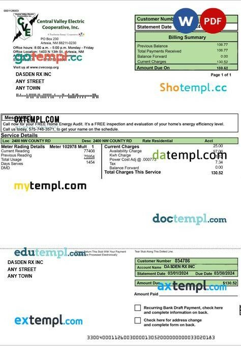 USA CENTRAL VALLEY ELECTRIC business utility bill Word and PDF template