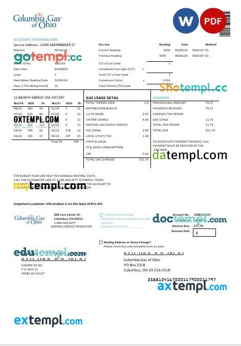 USA Columbia Gas of Ohio business utility bill template in Word and PDF formats