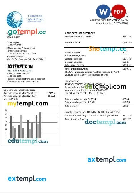 USA Connecticut Light & Power electricity business utility bill in Word and PDF formats