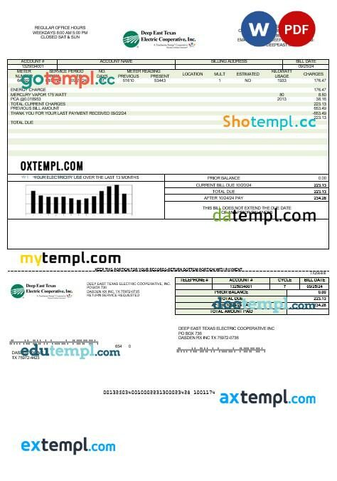 USA Deep East Texas Electric business utility bill template in Word and PDF formats