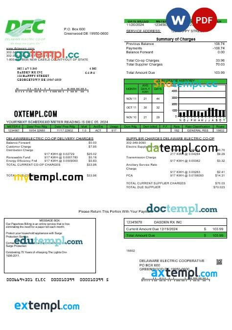 USA Delaware Electric Co-op business utility bill template in Word and PDF formats