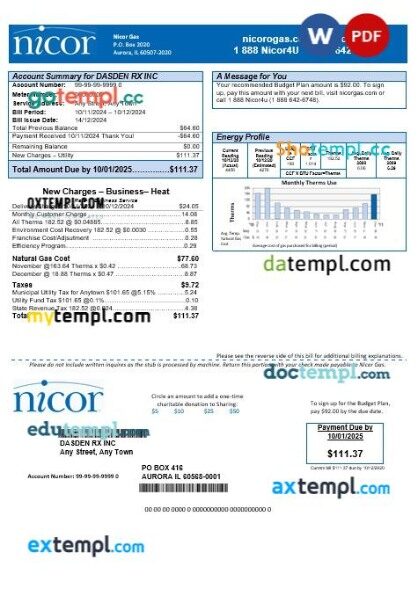 USA Illinois Nicor gas business utility bill template in Word and PDF formats