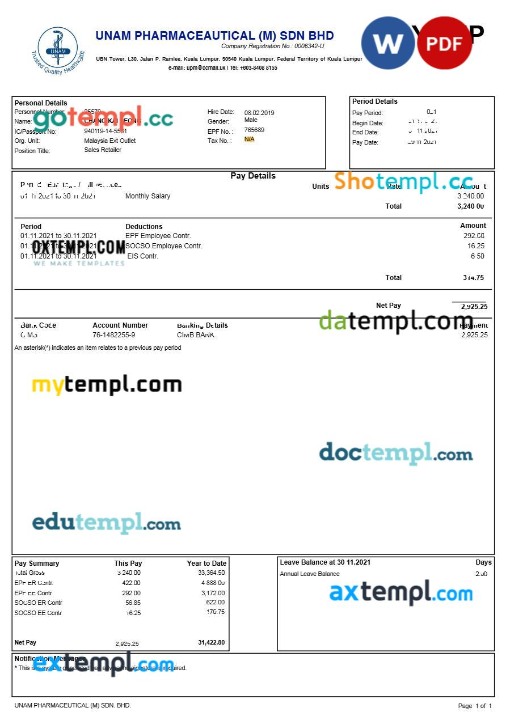 Unam Pharmaceautical (M) Sdn Bhd payslip template in Word and PDF formats