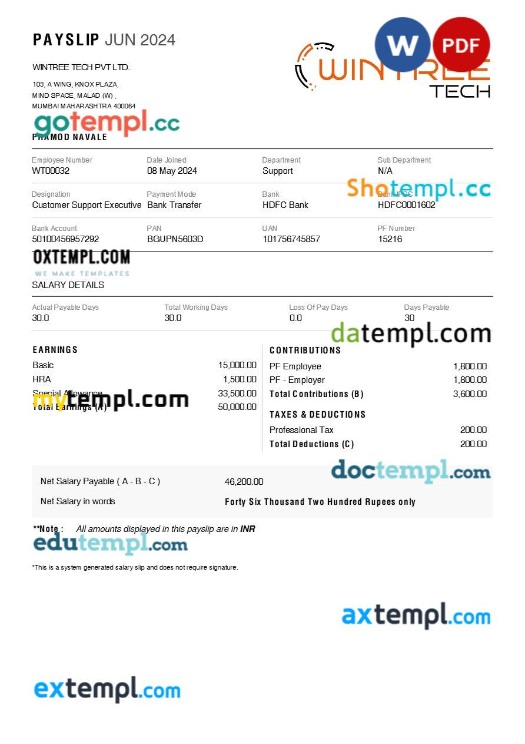 Wintree Tech payslip template in Word and PDF formats