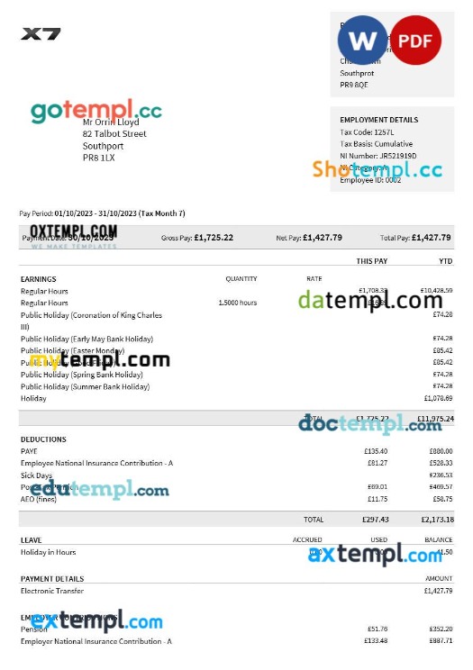 X7 Portfolio payslip template in Word and PDF formats