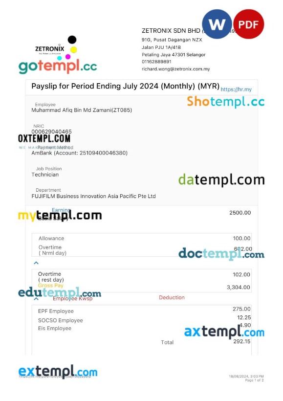 Zetronix payslip template in Word and PDF formats