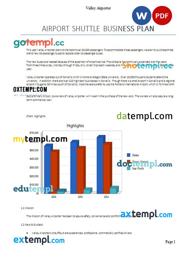 airport shuttle business plan example in Word and PDF formats