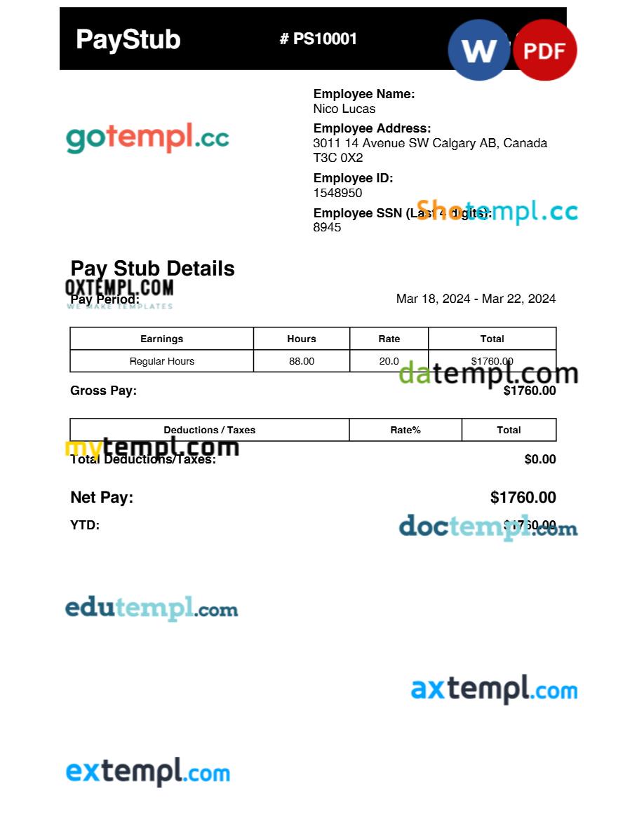 earnings pay stub template in Word and PDF formats