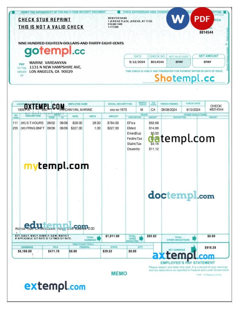 employee's pay statement template in Word and PDF formats