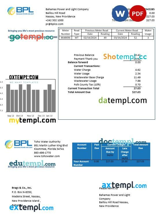 Bahamas Power and Light Company business utility bill template in Word and PDF format