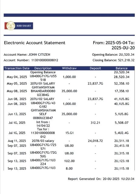 India RBB Smart Bank electronic account statement Word and PDF template
