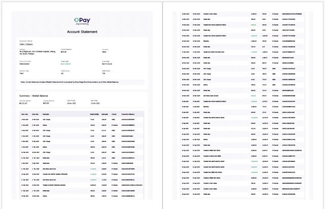 Nigeria Opay account statement Word and PDF template, 2 pages