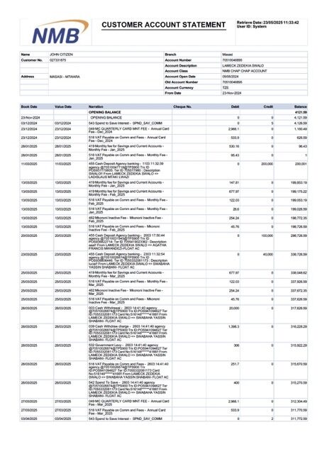 Tanzania NMB Bank account statement Word and PDF template