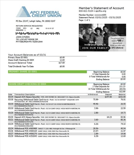 USA APCI Federal Credit Union statement of account Word and PDF template