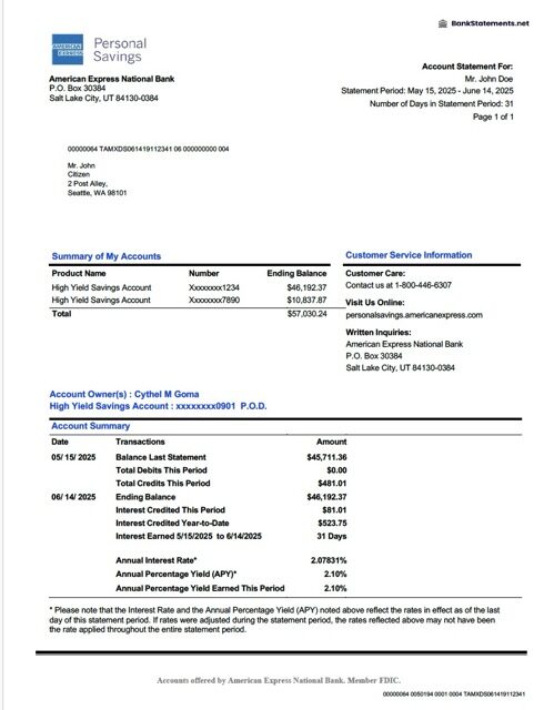 USA American Express National Bank account statement Word and PDF template