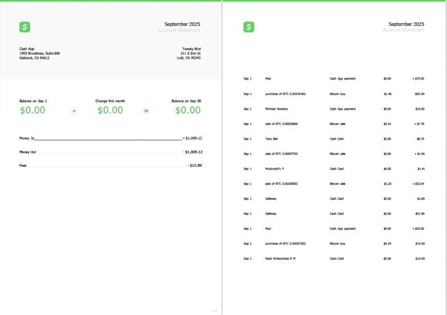 USA Cash App account statement Word and PDF template, 2 pages