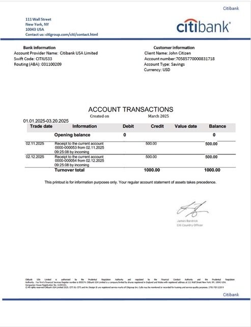 USA Citibank account statement Word and PDF template