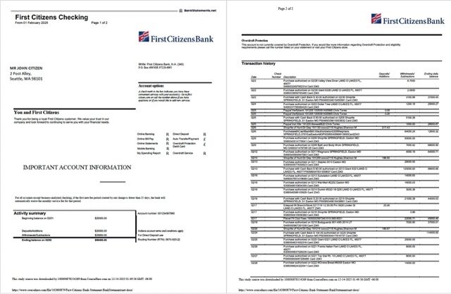 USA First Citizens Bank statement Word and PDF template, 2 pages