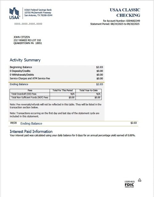 USAA Federal Savings Bank statement Word and PDF template, version 2