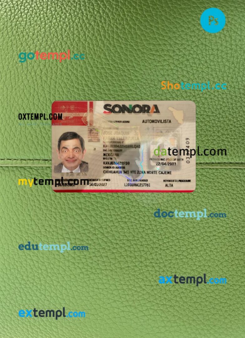 Mexico Sonora state driving license PSD files, scan look and photographed image, 2 in 1