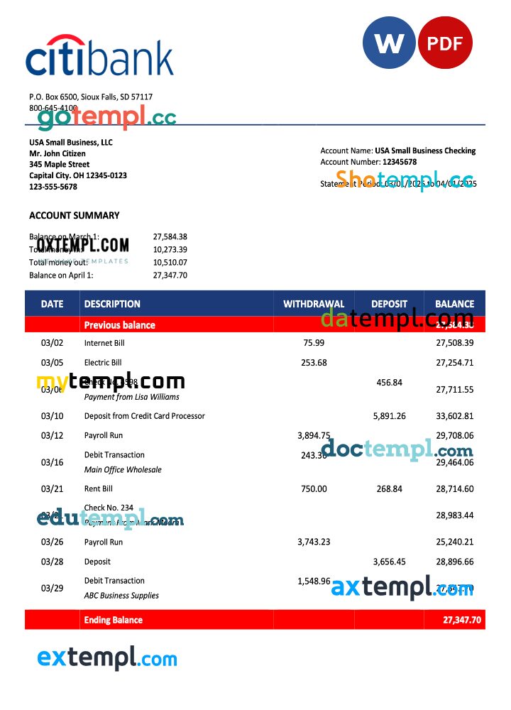 USA Citibank organization statement Word and PDF template