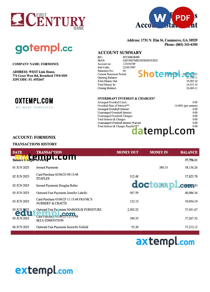 USA First Century enterprise account statement Word and PDF template