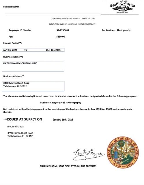 USA Florida business license Word and PDF template USA Florida business license Word and PDF template